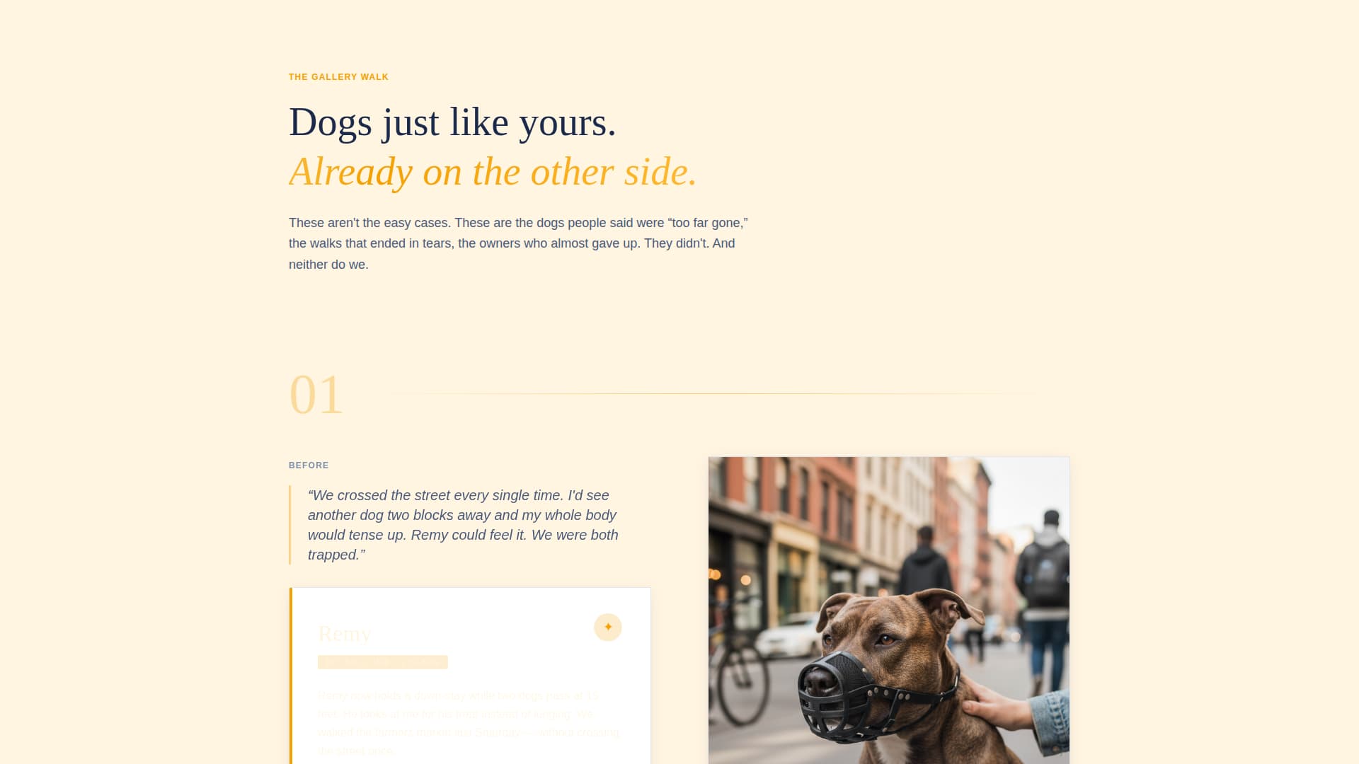 Specialist Pet Training & Behavior Appointment Booking Website Template