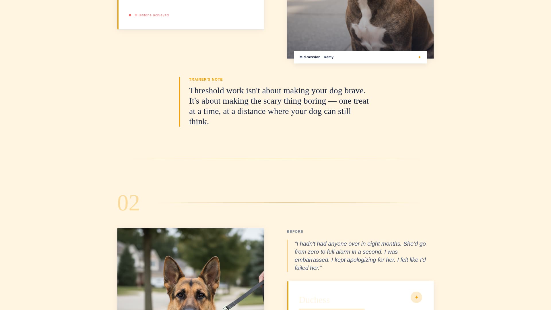 Specialist Pet Training & Behavior Appointment Booking Website Template
