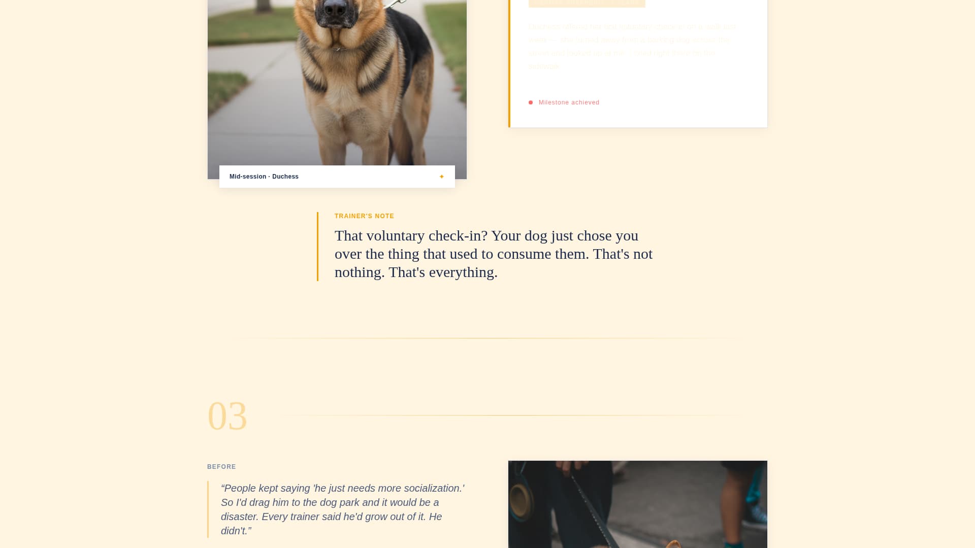 Specialist Pet Training & Behavior Appointment Booking Website Template