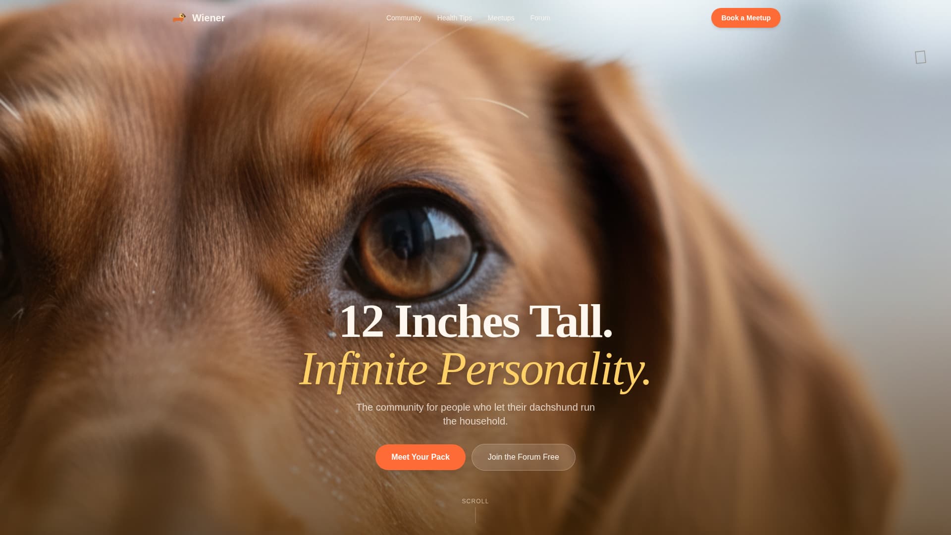 Dog Professional Website Template
