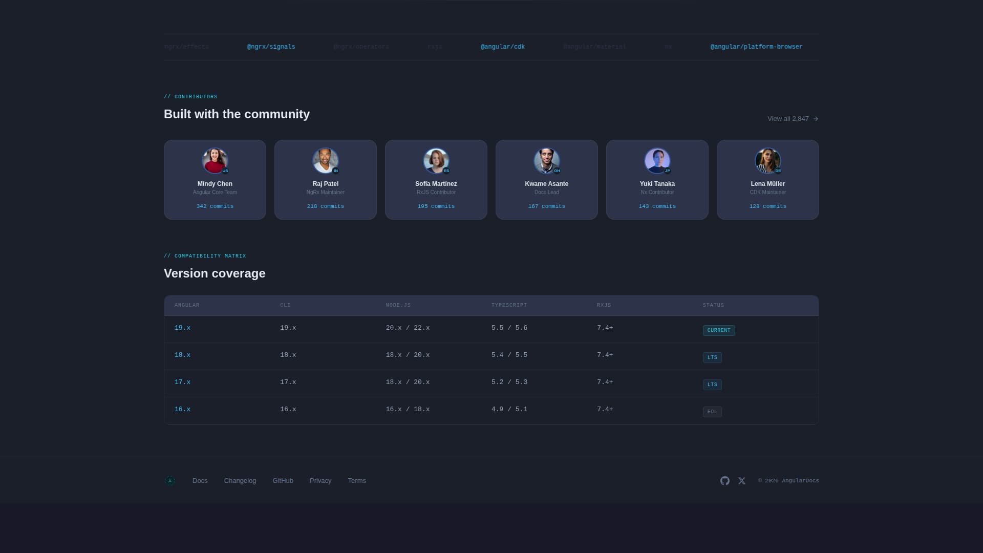 Developer Documentation Specialist Professional Website Template