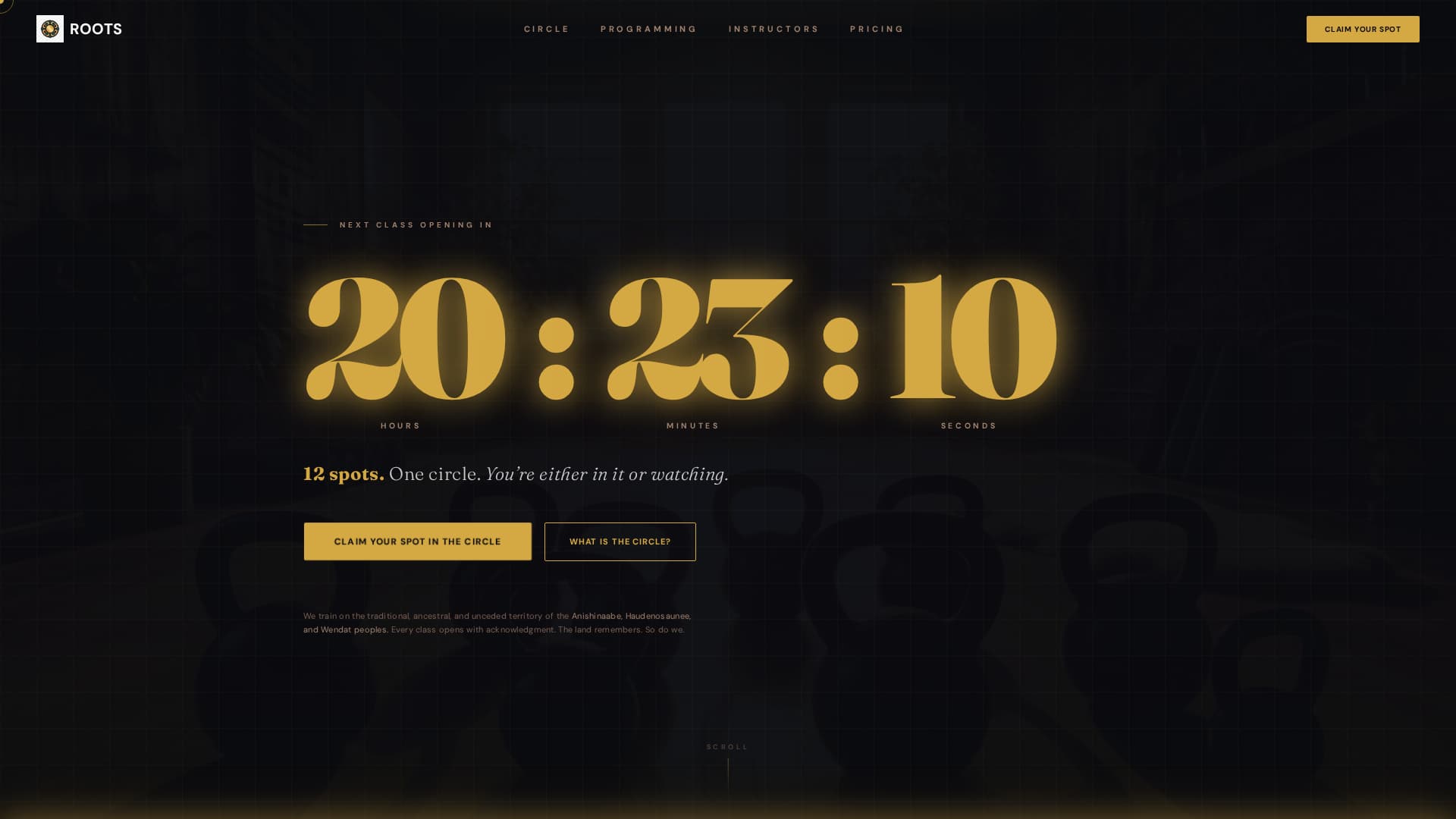 Indigenous-Owned Business Appointment Booking Website Template