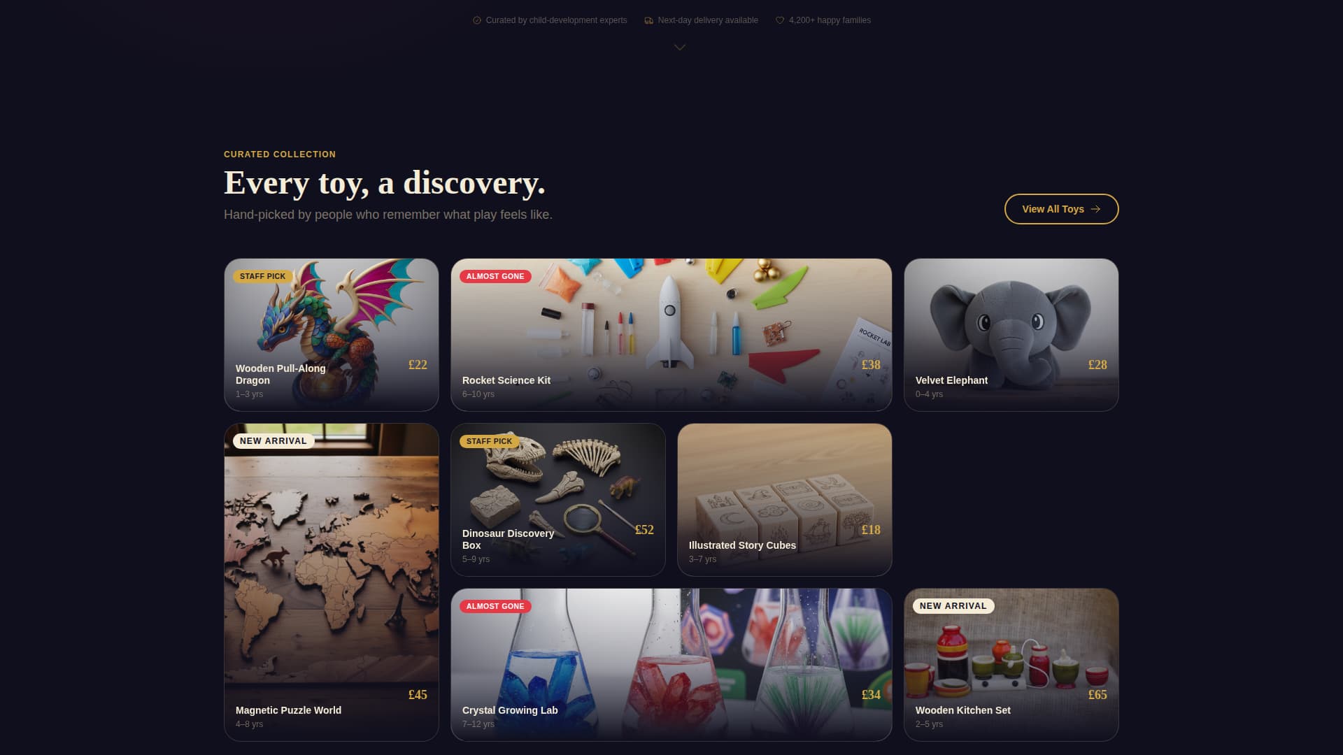 Expert Local Brick & Mortar Business Pre-Launch & Coming Soon Website Template