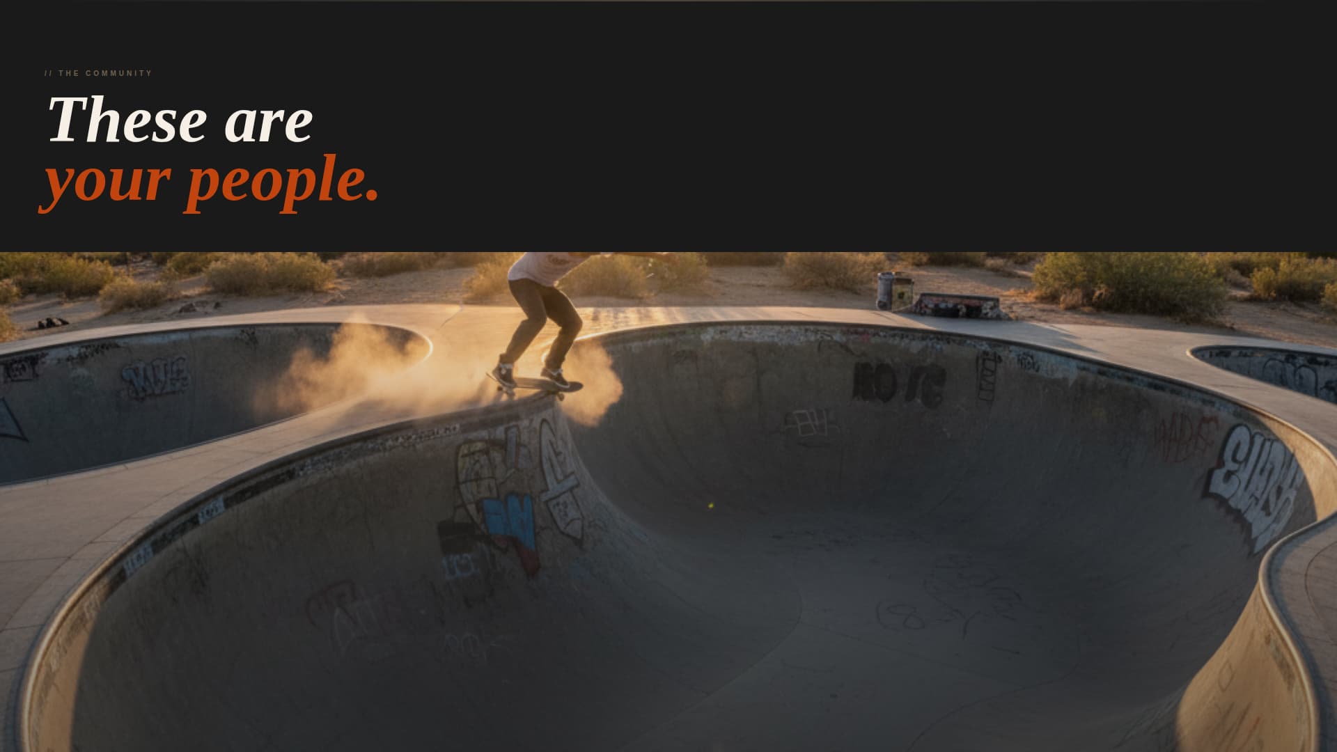 Specialist Skateboarding Appointment Booking Website Template