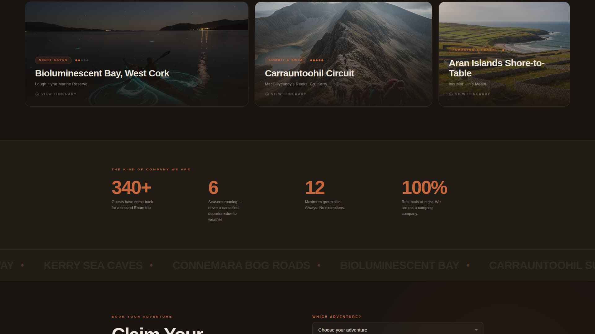 Ireland Travel Professional Website Template