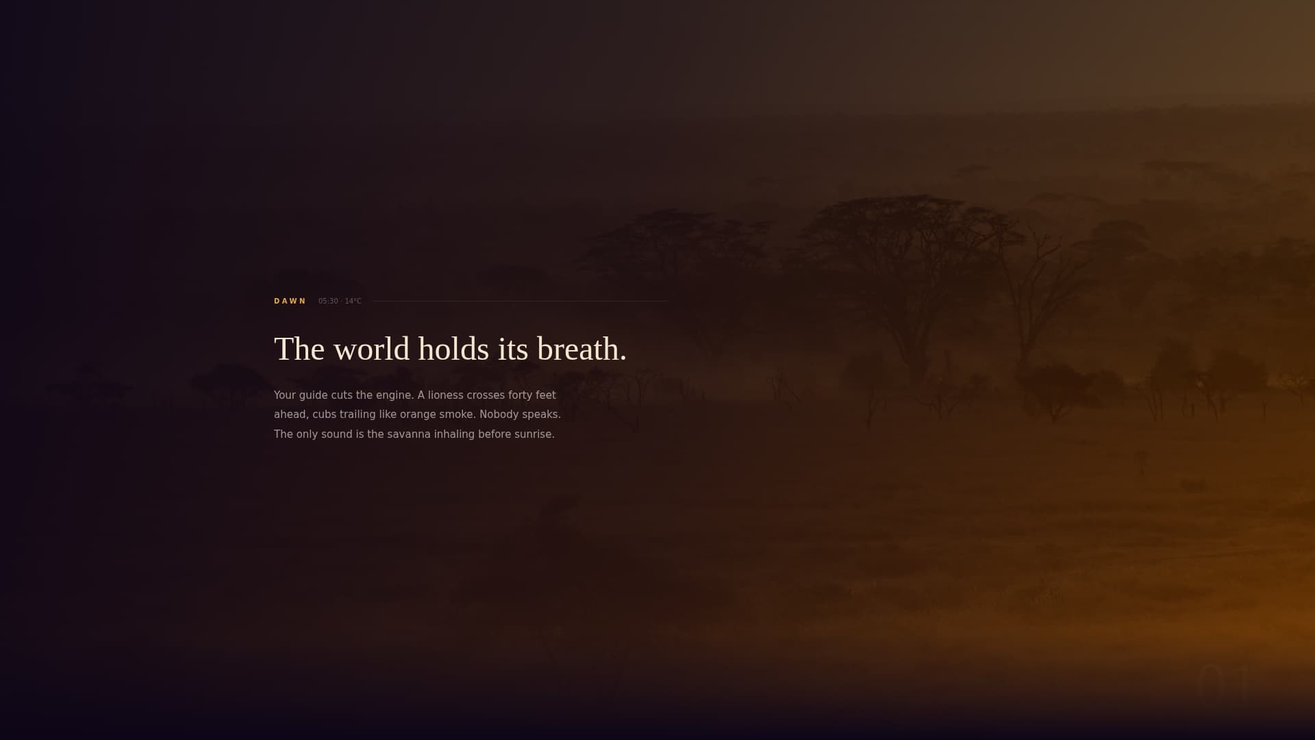 Wildlife & Nature Safari Tour Operator Website Template