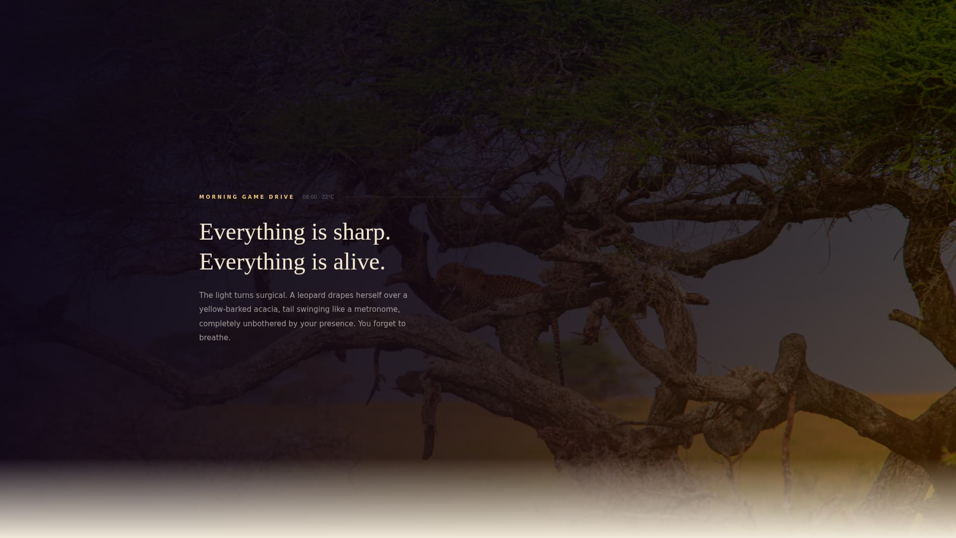 Wildlife & Nature Safari Tour Operator Website Template