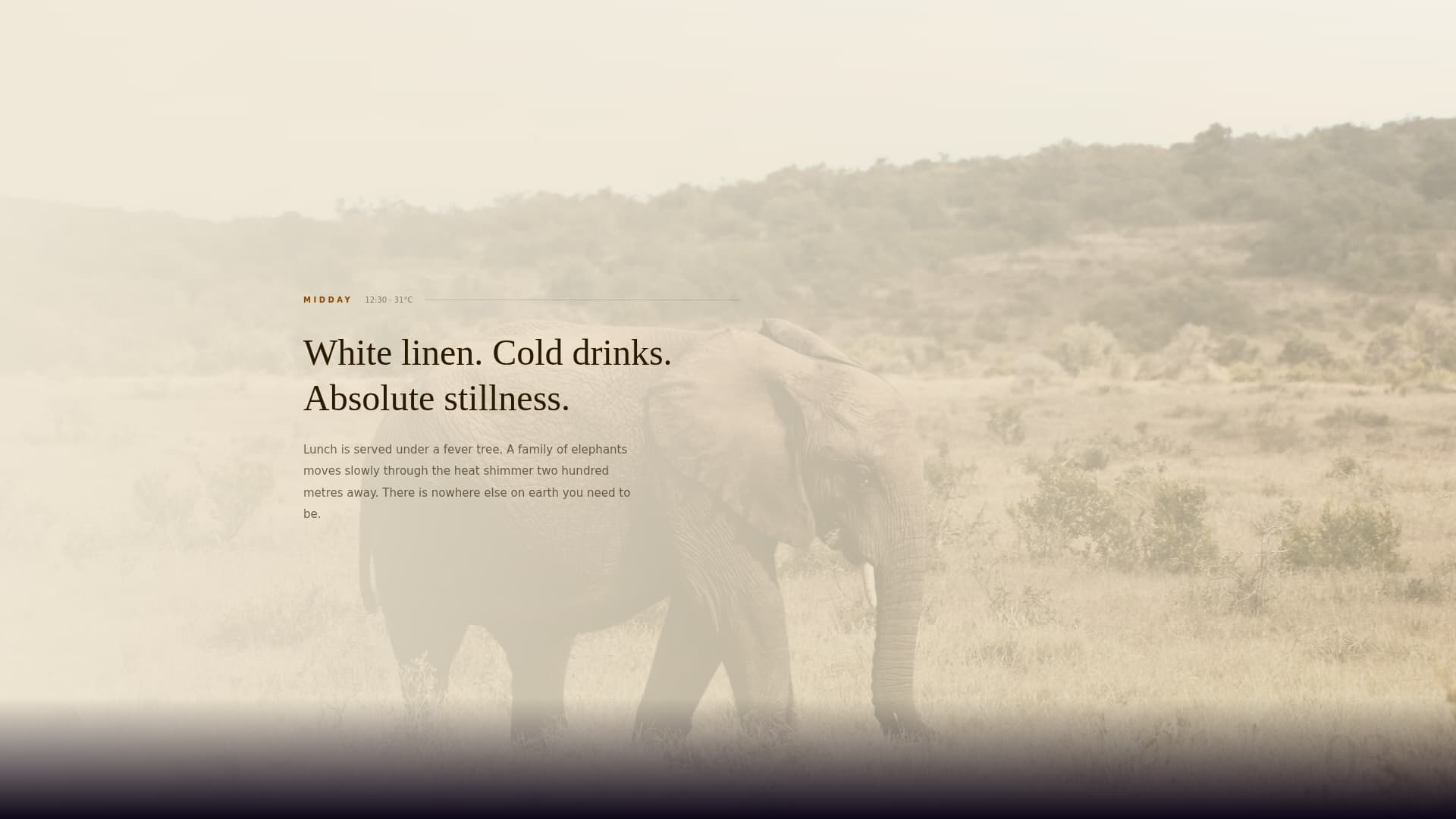 Wildlife & Nature Safari Tour Operator Website Template
