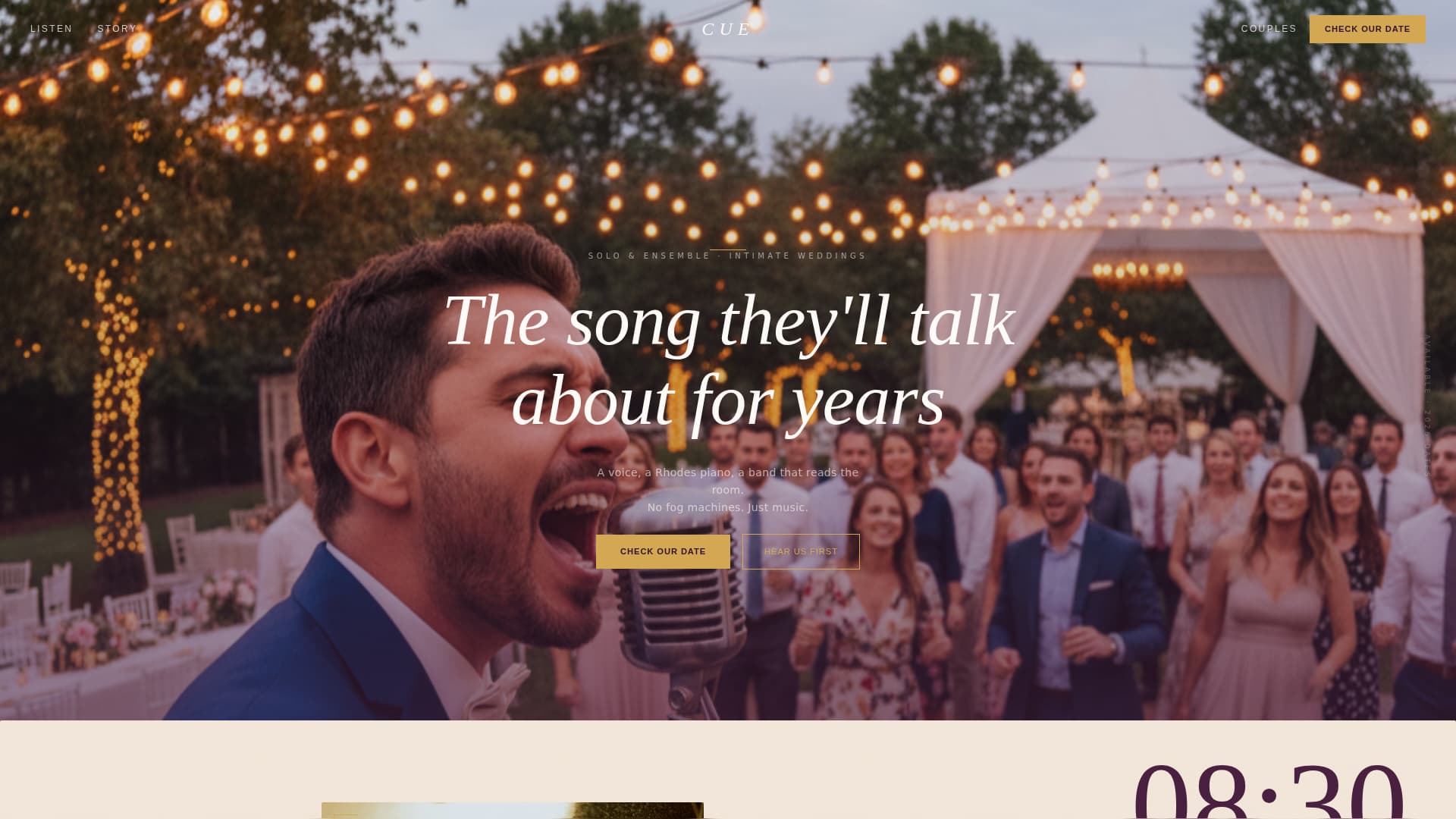 Minimalist Wedding Professional Website Template